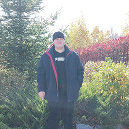 �����, ������, 43 ����