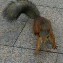 ���� �����, ������ - ��������� 14 ������ 2026 � ������ ���� ����������