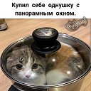 ���� ����, ��������� - ��������� 1 ������� 2025 � ������ ������ ��������