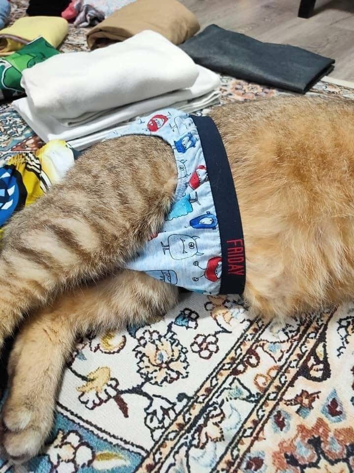 ��� �������� �����) - 2