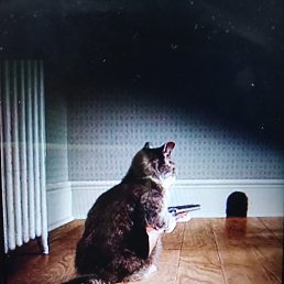 �����, ������, 55 ���