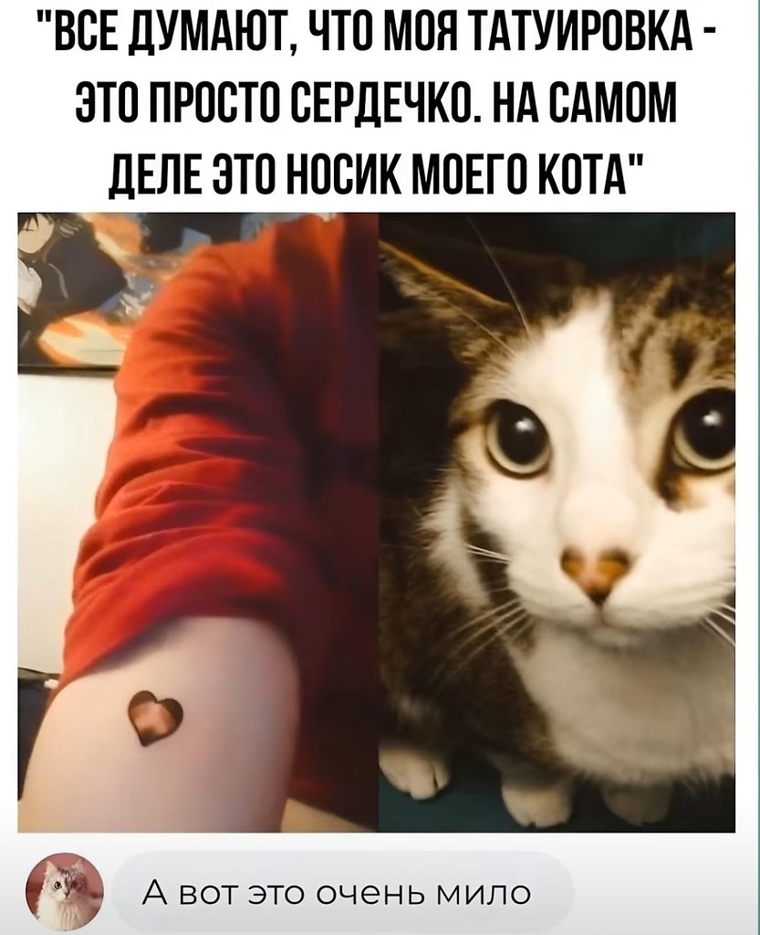  - 21  2025  22:01