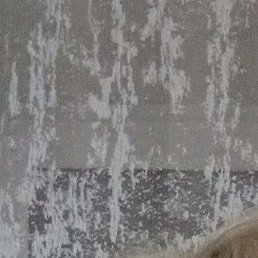 �����, �������, 49 ���