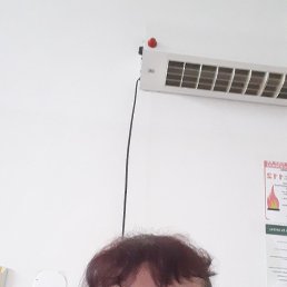 Moldovan, �����������, 51 ���