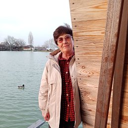 , 61, 