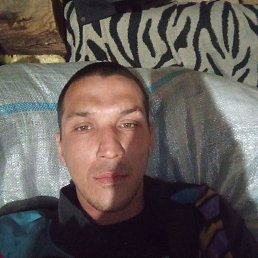 , 37, 