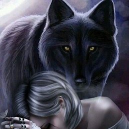 ���� �, �����������, 51 ���