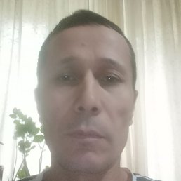 , , 46 