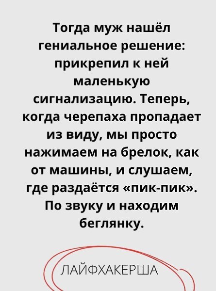 ���������� ���� - 25 �������� 2025 � 16:12 - 2