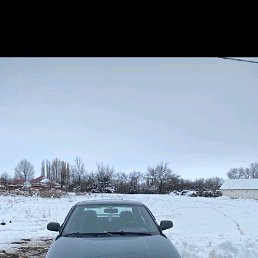 ��������, 53 ����, ����