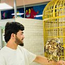  Ibrahimjon, , 24  -  8  2024    