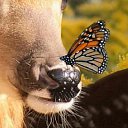 ���� �����, �������, 54 ���� - ��������� 4 ������� 2023 � ������ ���� ����������