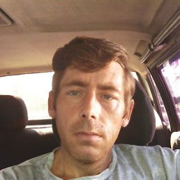 , 41, 