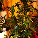 ���� Uegenia, ʸ���, 65 ��� - ��������� 22 �������� 2025 � ������ ���� ����������