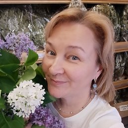 , 52, -