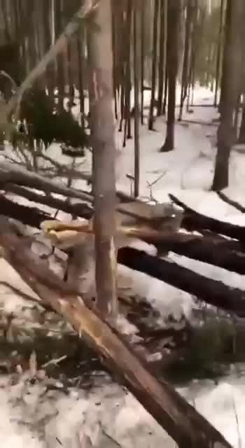     ..