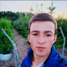 , 24, 