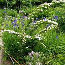 ������ ��������