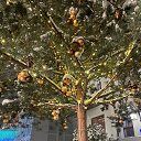 ���� ���, ������ - ��������� 31 ������� 2025 � ������ ������ ��������