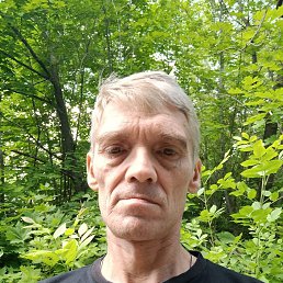 , 48, 