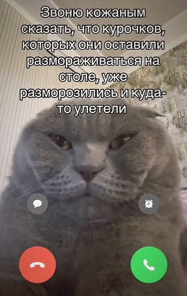 ,  .