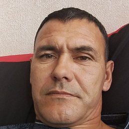 �������, ����-���������, 44 ����