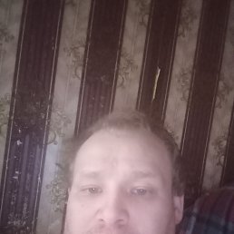 ���� ��������, 31 ���, ������