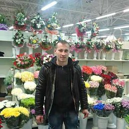 ���� ������, ������, 42 ���� - ��������� 9 ������� 2026