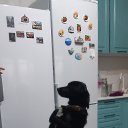 ���� �����, ���������, 64 ���� - ��������� 9 ������ 2026 � ������ ���� ����������