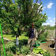 ����, 59 ���, ��������