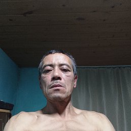  , 44, 