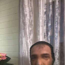 ����, 42 ����, �������