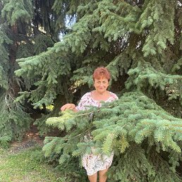 , 65, 