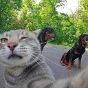 ���� �����, ������, 27 ��� - ��������� 24 ������� 2025 � ������ ���� ����������