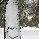 ���� ��������, �����, 77 ��� - ��������� 6 ������� 2023 � ������ ����� �� ����ʻ