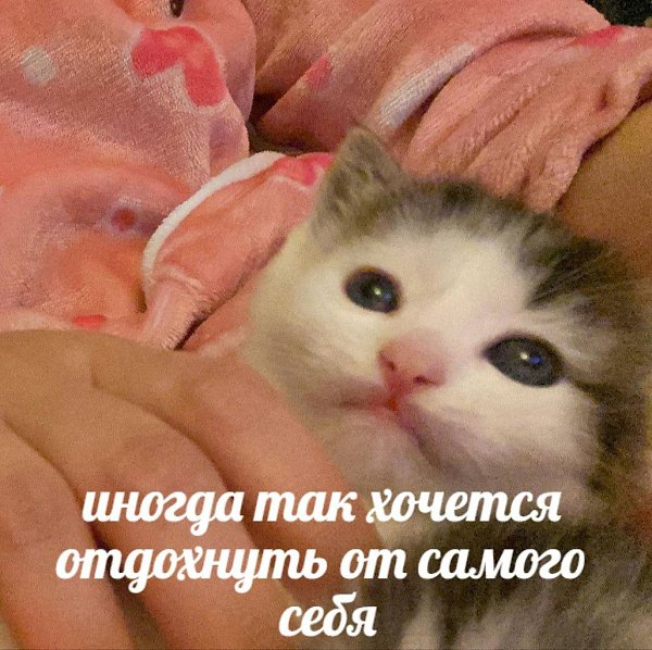    - 10  2024  14:33