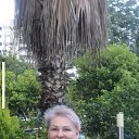  ,  -  15  2025   2025