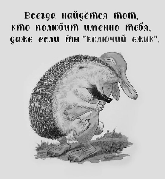      ,   .