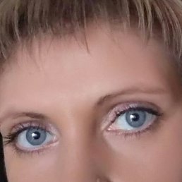 ���, ���������, 41 ���