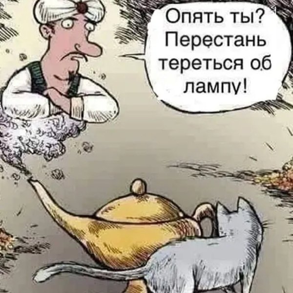  - 17  2024  13:43
