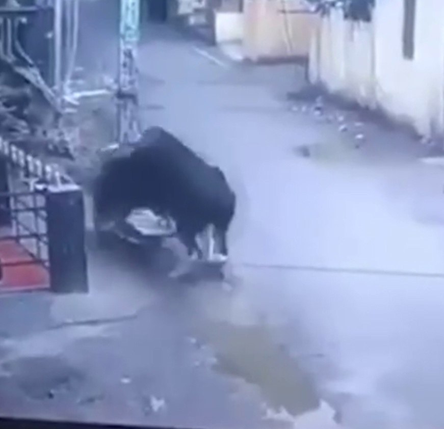   a cep  cpo o o epee. , poac o e, opa ae a ... - 2