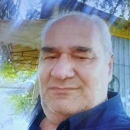 Zizi, ������, 64 ����