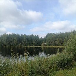 ������, ���������, 51 ���