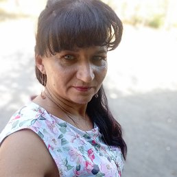 ���� �����, ������, 48 ��� - ��������� 13 ������ 2026