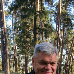 ����, 58 ���, ������