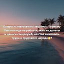 ���� Viki, ����� - ��������� 5 ��� 2026 � ������ ������ ��������