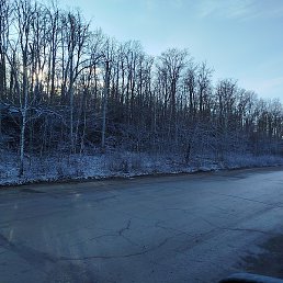 ���������, ������, 55 ���