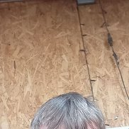 �������, 40 ���, ������