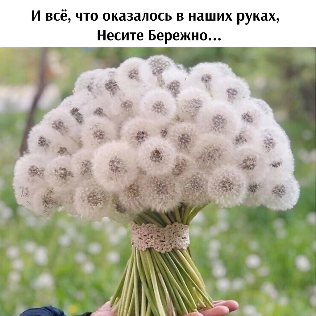   - 5  2025  11:10