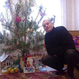 ����, �������, 43 ����